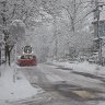 Snowplow, Frosted Trees