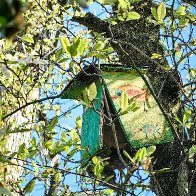 Even Birds Are Fatter Every Day res.jpg