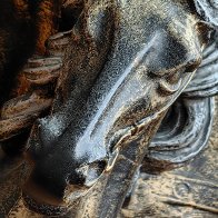 Horse Head res.JPG