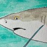 IMG_0656