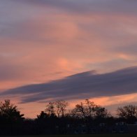 DSC_0257-1536x1024.jpeg