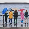 Rainy Day Besties