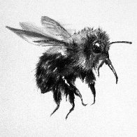 HUMBLE BUMBLE.jpg