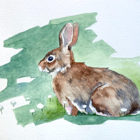 RABBIT 01.png