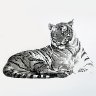 Regal Tiger