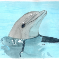 Dolphin May Resized smaller 2025.png