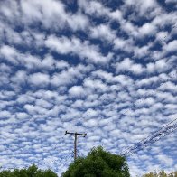 IMG_1665.jpeg