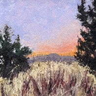 IMG_0253.jpeg