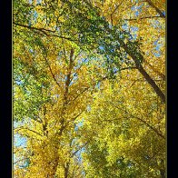 B9B72E7A-78CE-401B-9CBC-FD7A66341FEF.jpeg