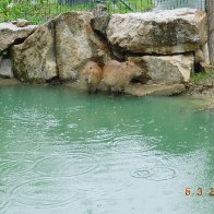 DSCN1058.JPG