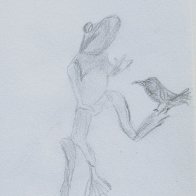 frog.JPG