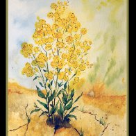 Mustard Plant.jpg