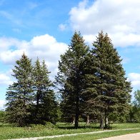 DSCN5620.JPG