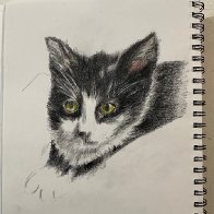 IMG_1394.jpg