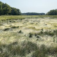 IMG_2679.jpg
