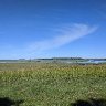 Wellfleet Bay Saltmarsh