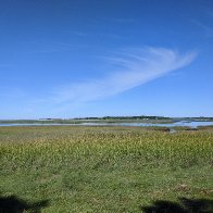 IMG_20200831_094828.jpg