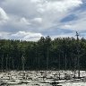 Heron Pond