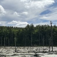 IMG_0249.jpg