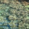 Rock Meets The Sea Meets The Sun