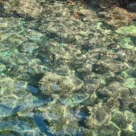 Rock Meets The Sea Meets The Sun res.JPG