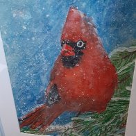 cardinal1 wc.jpg
