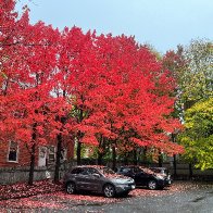 IMG_3635 (1).jpg