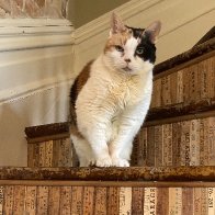 IMG_3097.jpeg