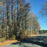 IMG_7424.jpeg