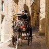 Pony and Trap - Mdina, Malta