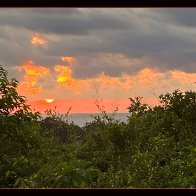 B66459AF-7F39-4D26-9D75-77513D3C7B37.jpeg