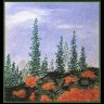 Stately Pines
