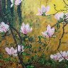 Magnolia