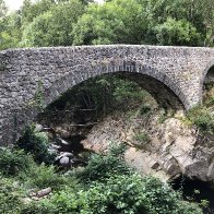 IMG_0013.jpeg