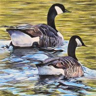 Leasowes geese.jpg