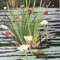 IMG_0433.jpeg