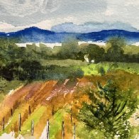 Ro's Vineyard.JPG