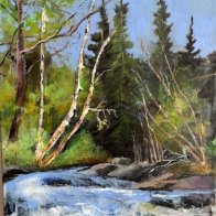 Landscape Challenge - Pines in the Landscape.JPG