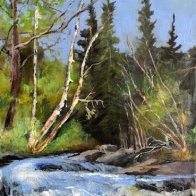 Landscape Challenge - Pines in the Landscape.JPG