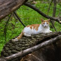 DSC_0642.JPG