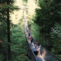ForestBridge.JPG