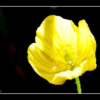 3C5A1429_HDR-002.JPG