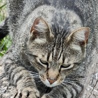 I Can Be Charming...But My Claws Are Ready.jpg