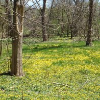 2018-04-28-13.25.26-scaled.jpg