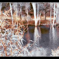 5416A648-653F-4E07-B509-685D5632C8FD.jpeg