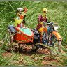 Grass-track racing.