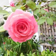 IMG_20180922_091120-scaled.jpg