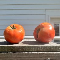 IMG_9885.jpeg