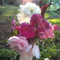 IMG_20180605_195445292.jpg