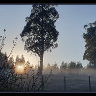 94778E55-2748-47F9-A355-456F252EFD2F.jpeg